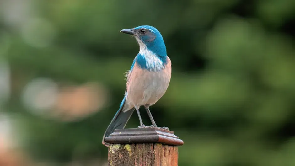 2. A Prime Example of Island Gigantism (Image Credits: Pexels)