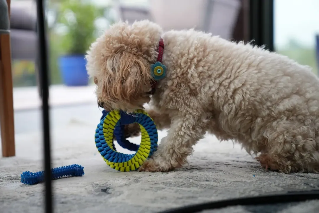 Overstimulation From High-Tech Toys (Image Credits: Unsplash)