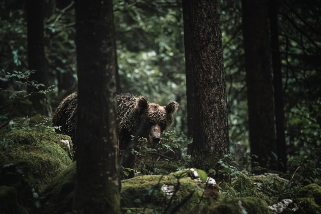 The Power of Behavioral Timing (Image Credits: Unsplash)