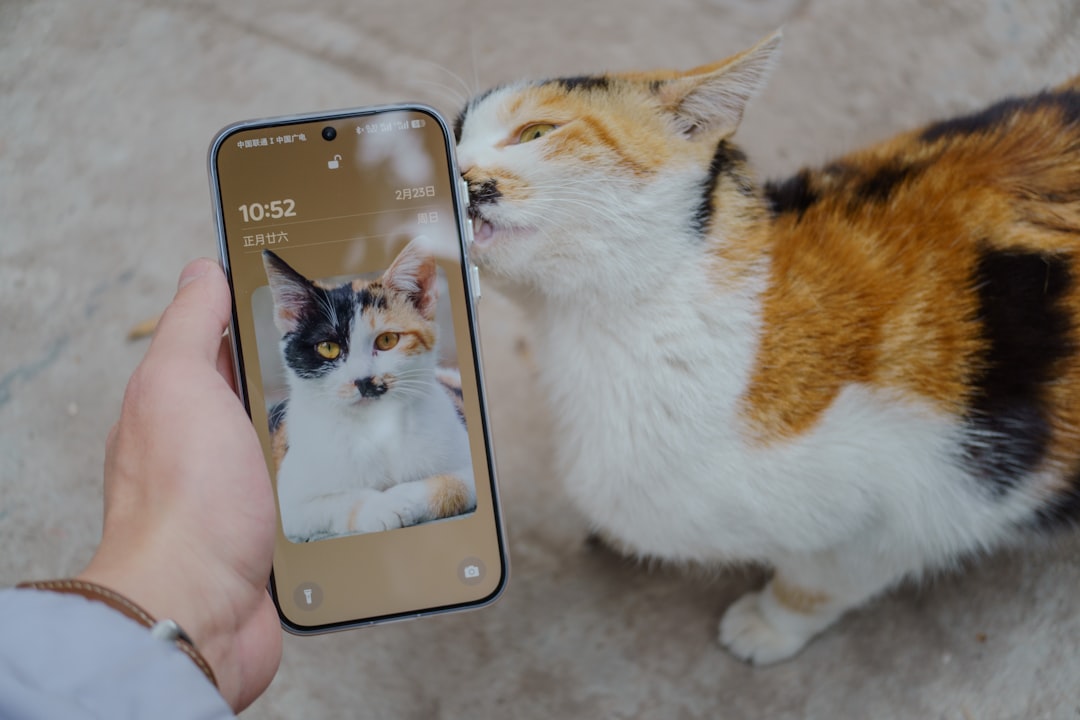 The Technology Bridge: Digital Tools Revealing Animal Empathy (Image Credits: Unsplash)