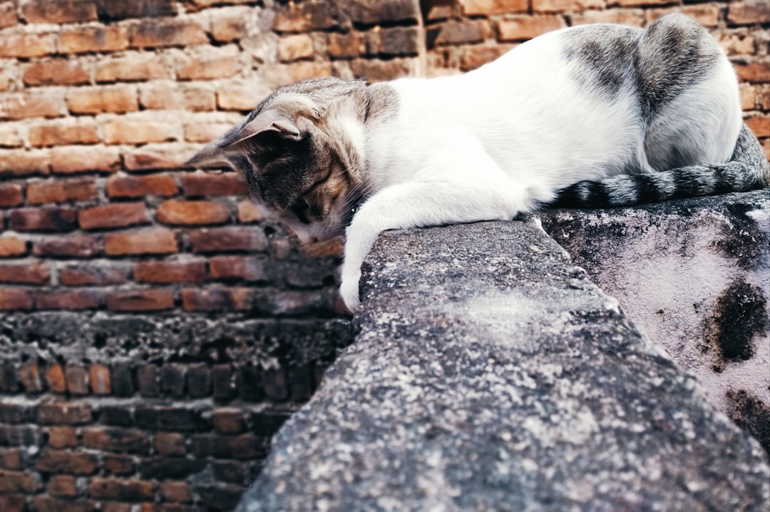 Conclusion: Nature's Living Earthquake Detectors (Image Credits: Unsplash)