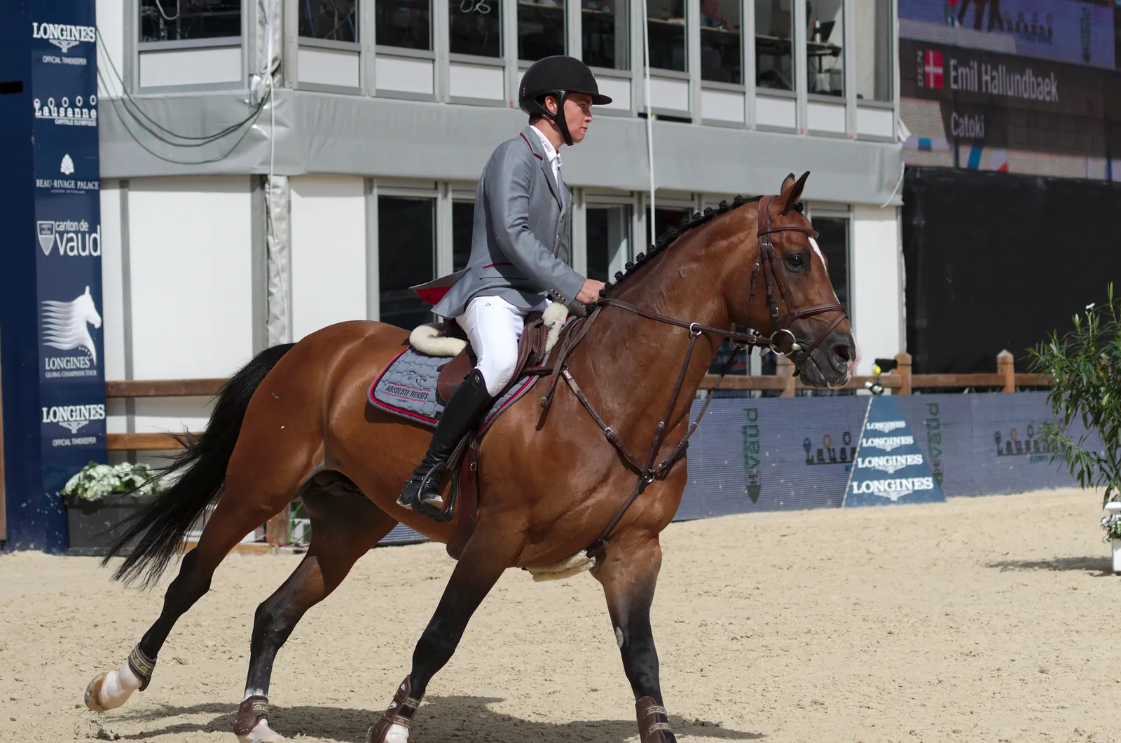 #6 - Holsteiner & Big Jump-Bred Types: Scope You Can't Yet Control (By Clément Bucco-Lechat, CC BY-SA 3.0)
