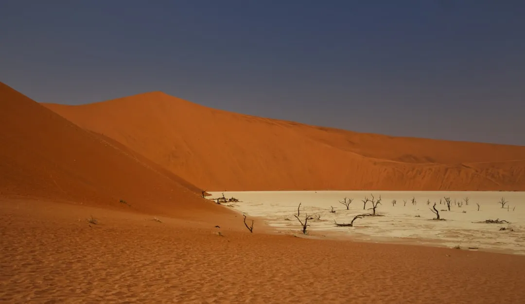 The Sudden Shift: From Lush to Barren (Image Credits: Unsplash)