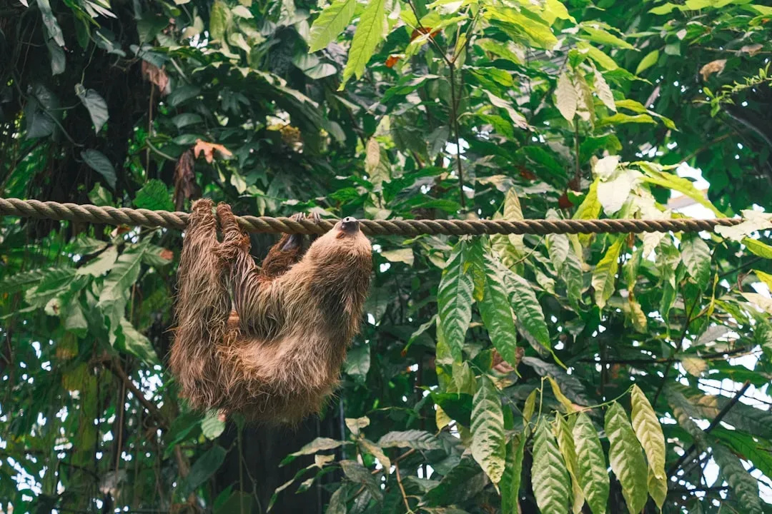 10. Their Ancestors Were the Size of Elephants (Image Credits: Unsplash)