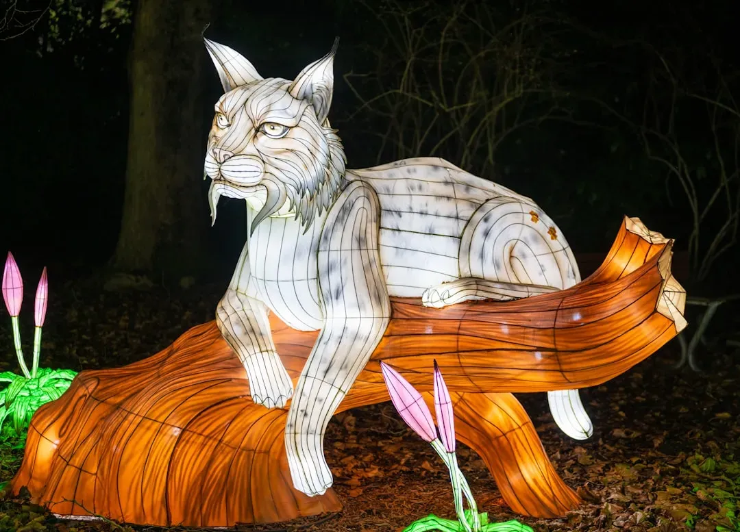 Scorpio: The Mysterious Lynx Connection (Image Credits: Unsplash)