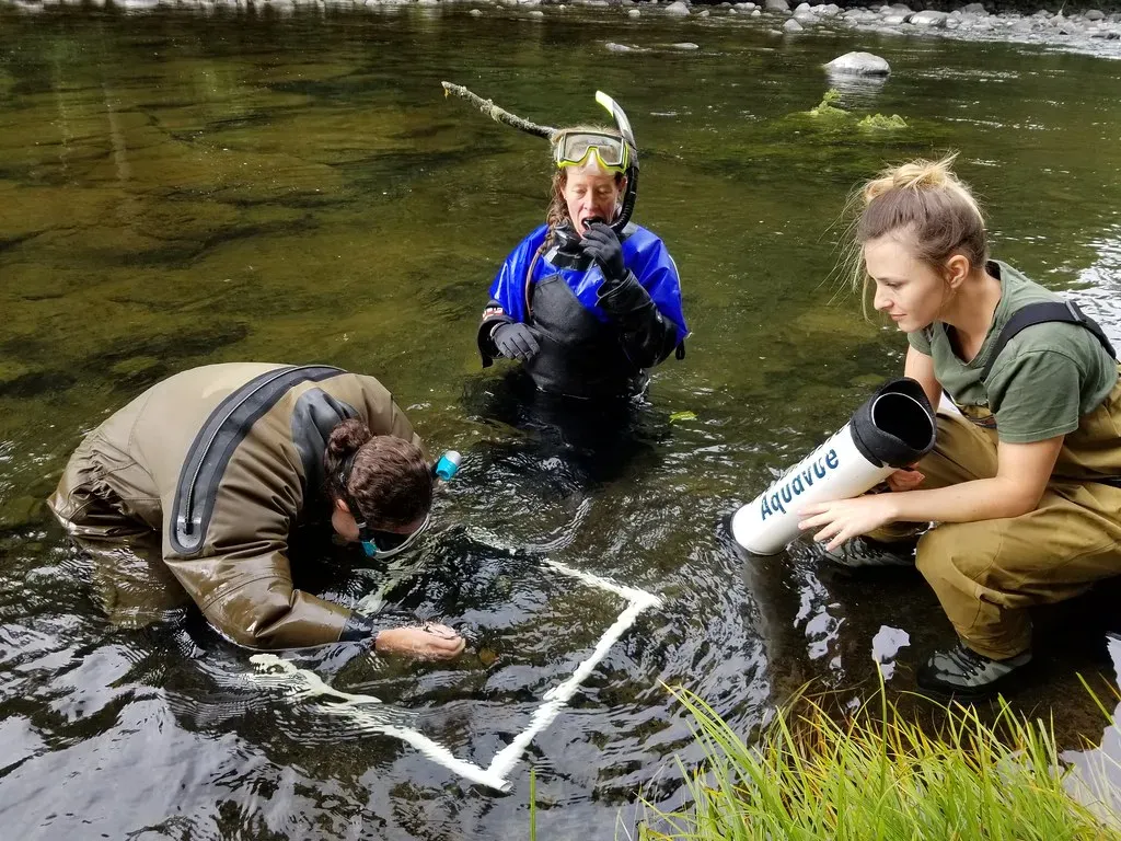 1. The Swift Rebound of Freshwater Ecosystems (BLM Oregon & Washington, Flickr, CC BY 2.0)
