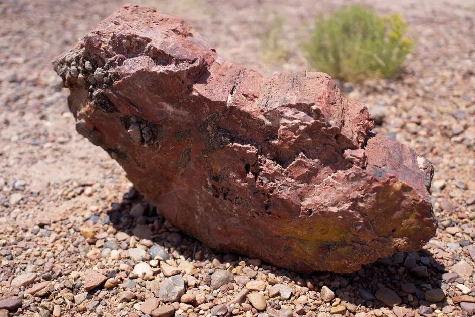 10. The stone trees are scientific tools, not just beautiful relics (Image Credits: Pexels)