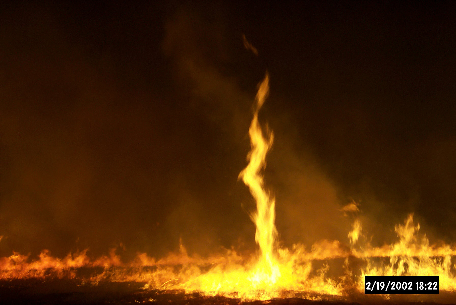 The Science Behind Fire Tornado Formation (Image Credits: Wikimedia)