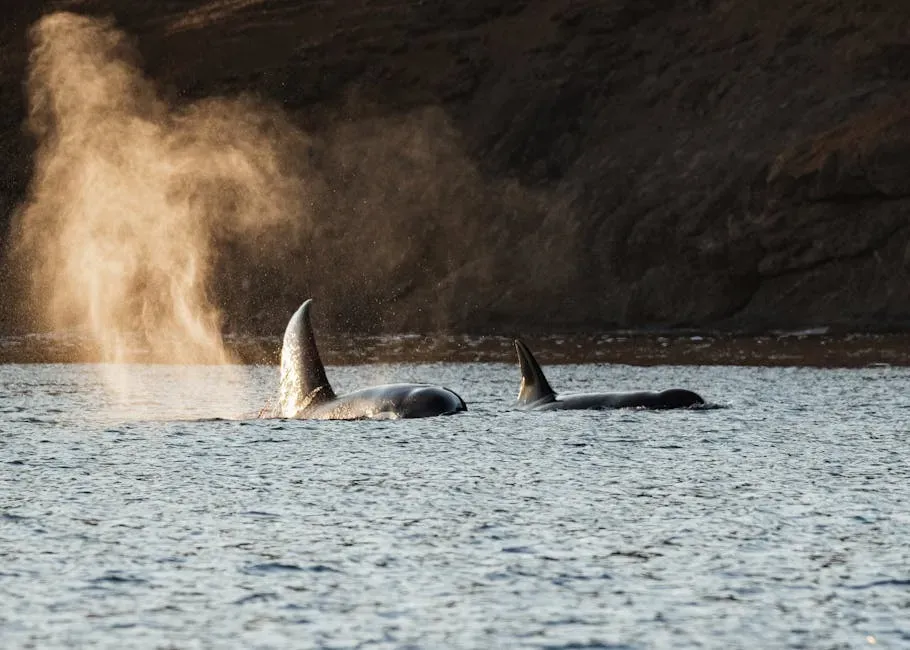 #10: They Are Highly Adaptable and Found in Every Ocean on Earth (Image Credits: Pexels)