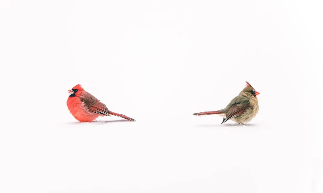 Adaptation to Non Migratory Life (Image Credits: Unsplash)
