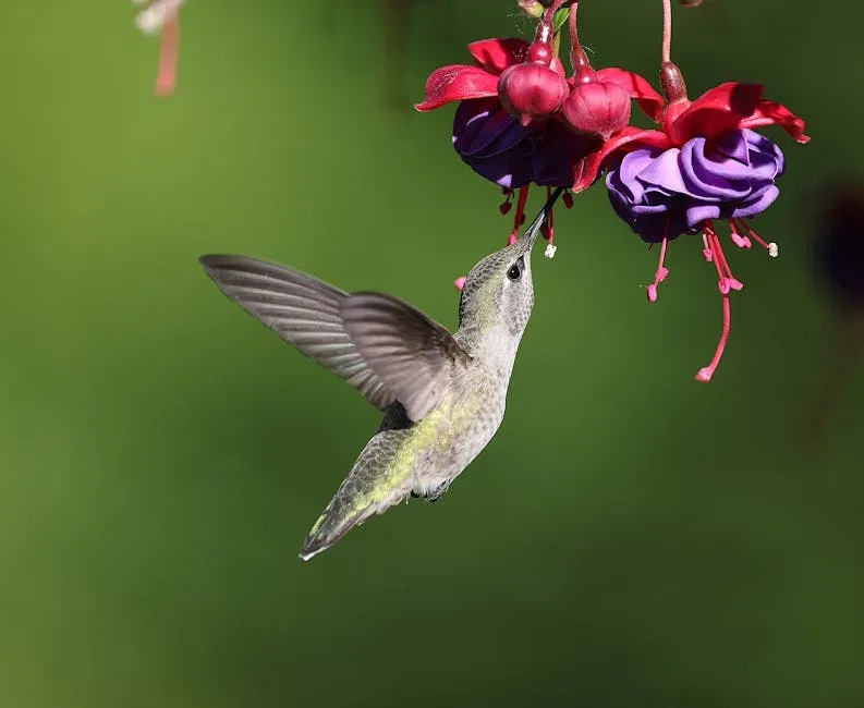 5. Bloom Succession Is the Real Secret to Keeping Them (Image Credits: Pexels)