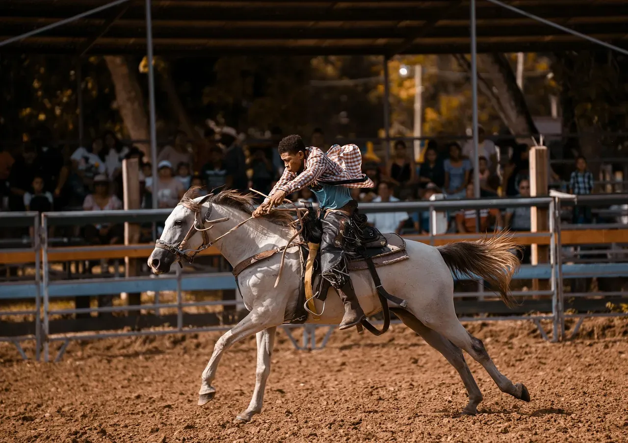 American Quarter Horse: The People's Champion (Image Credits: Pixabay)