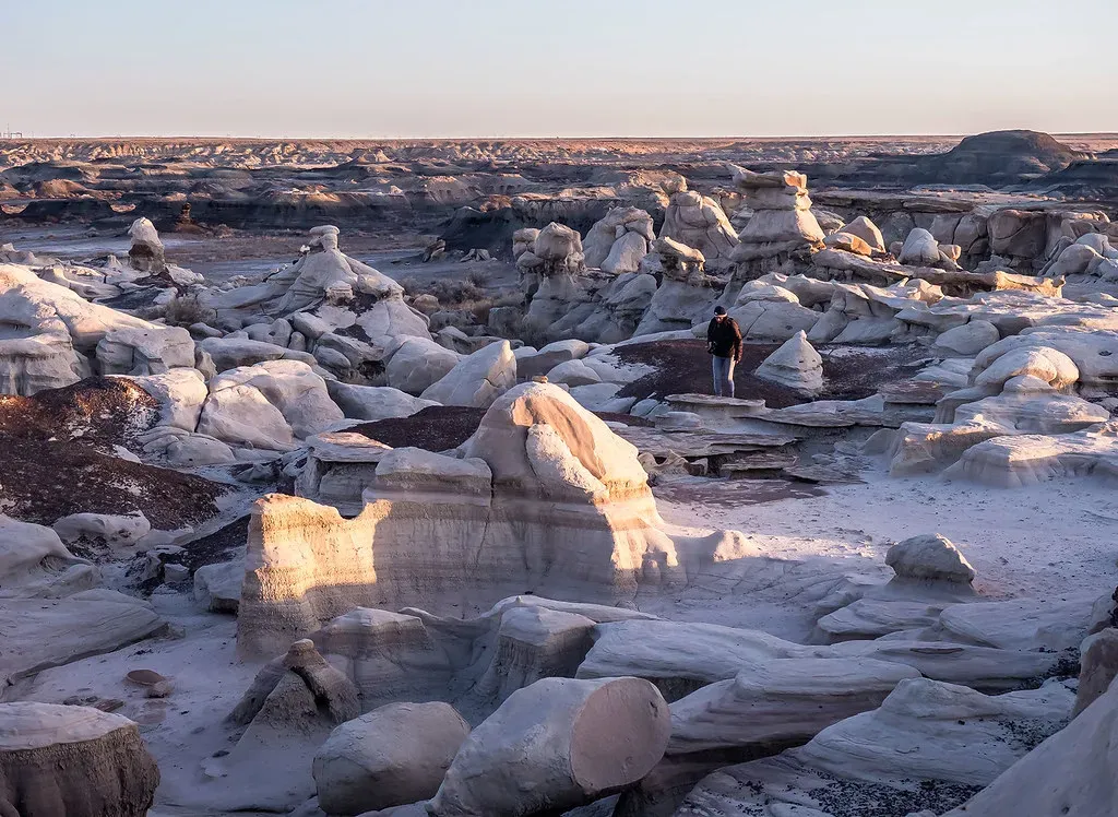 9. Bisti Badlands, New Mexico - The Most Forgotten Alien Landscape in America (Image Credits: Flickr)