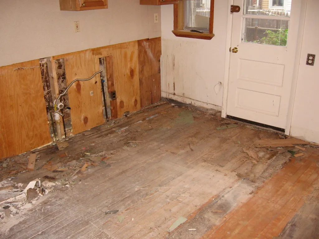 4. Untreated or Aging Wood in Structural and Decorative Elements (lemonhalf, Flickr, CC BY-SA 2.0)