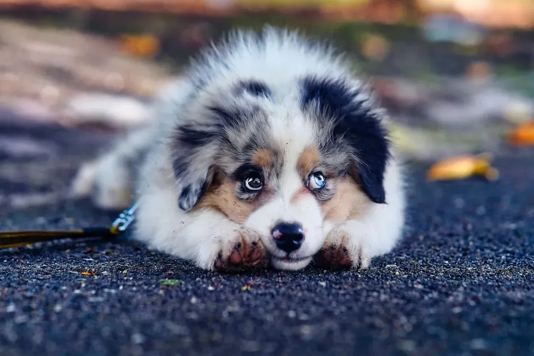 Early Life Trauma and the Roots of Reactive Behavior (Image Credits: Unsplash)