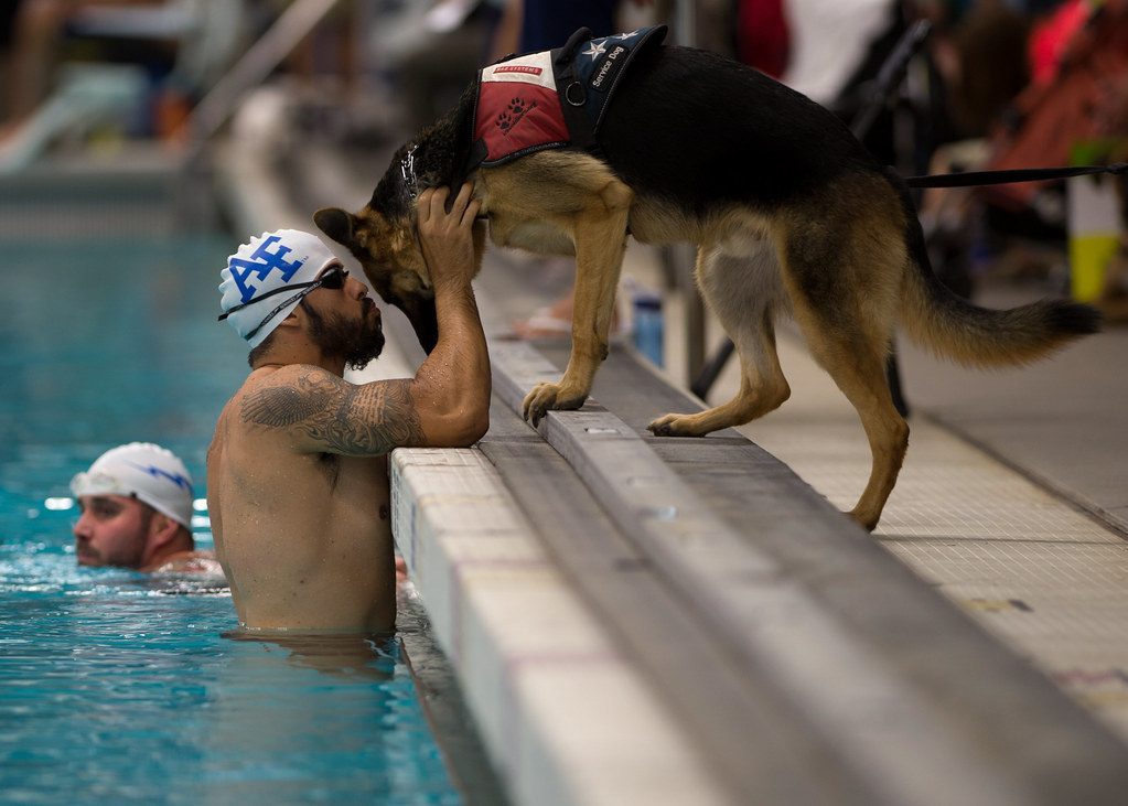 The Partnership: When Training Becomes Life (Image Credits: Flickr)