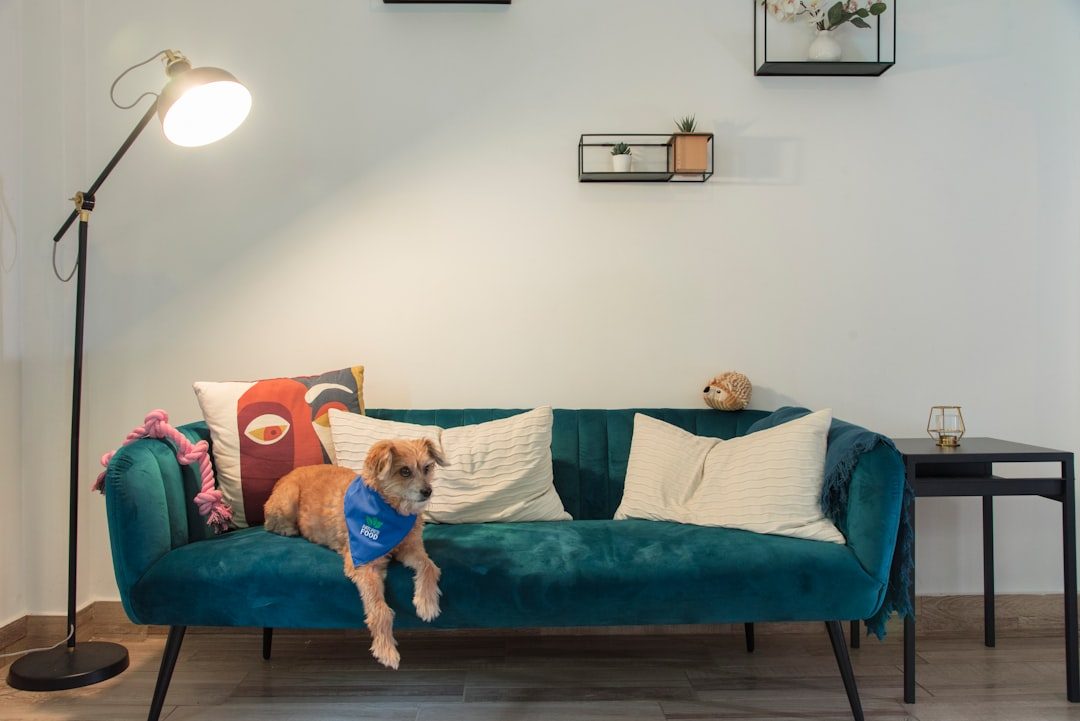 The Complete Rearrangement of Your Living Space (Image Credits: Unsplash)