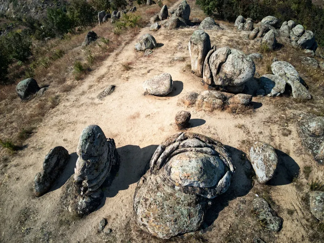 Rocks That Move By Themselves Across the Desert (Image Credits: Unsplash)