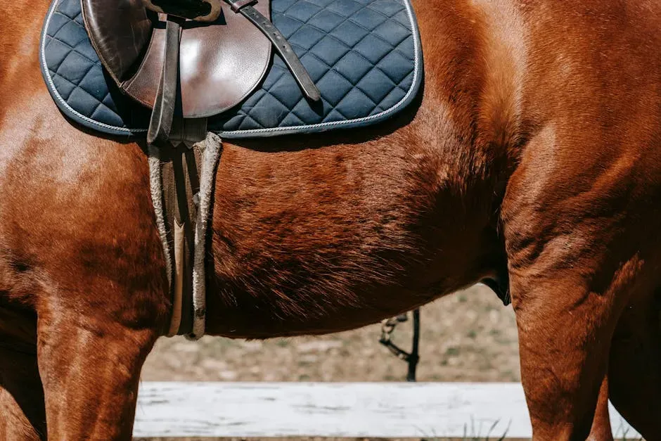 3. Girthiness and Saddling Aggression (Image Credits: Pexels)
