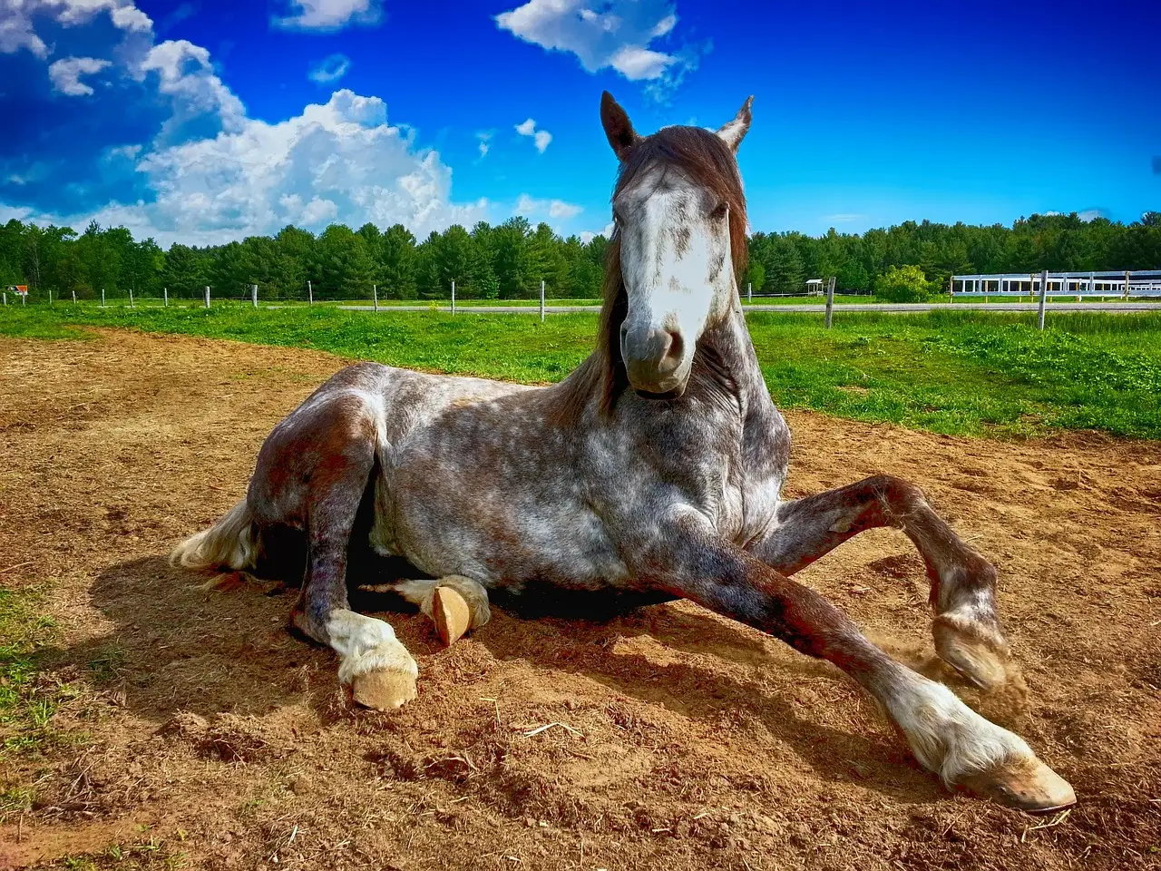 #14 - New Resting and Lying-Down Routines (Image Credits: Pixabay)