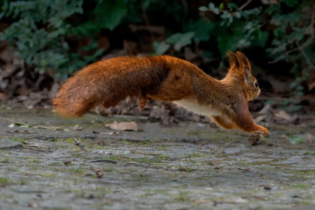 They Can Jump Distances That Defy Their Size (Image Credits: Pixabay)
