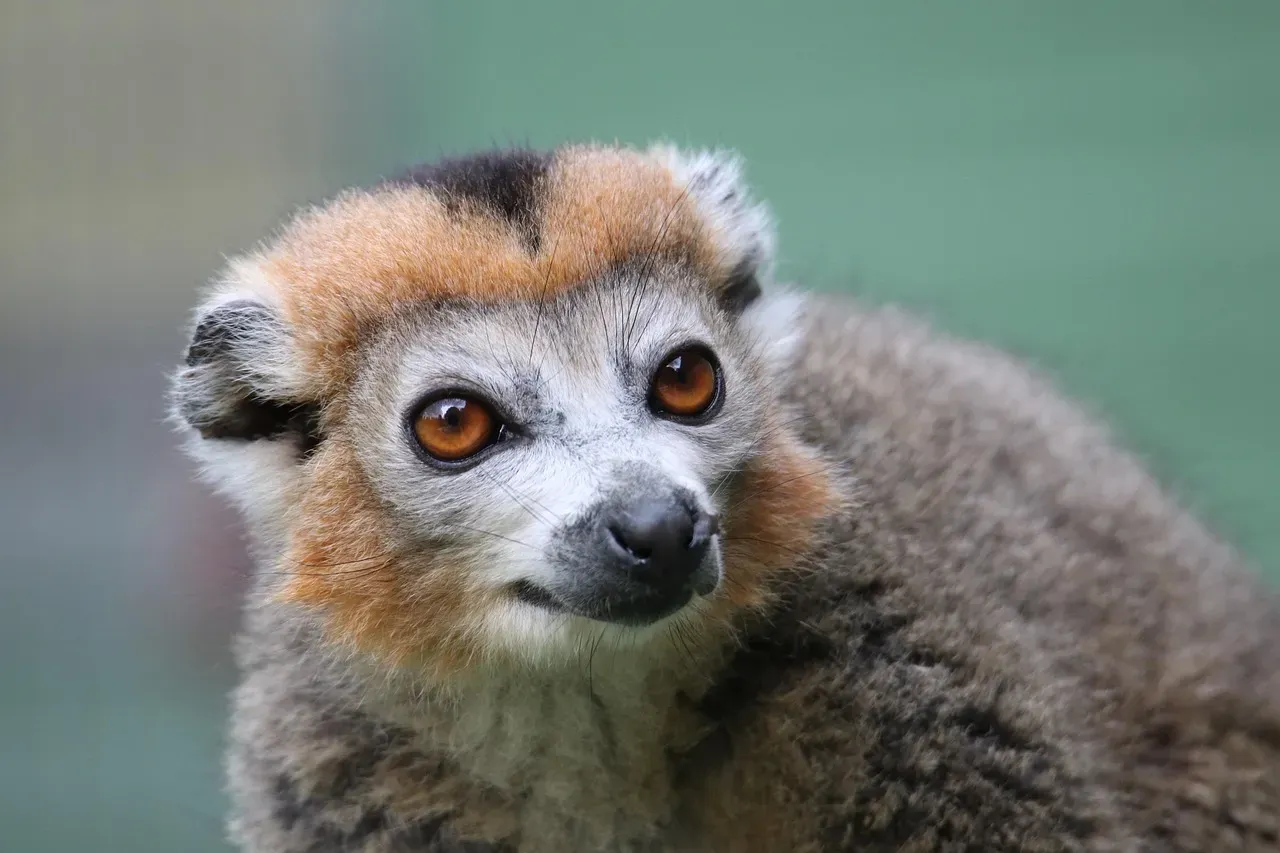 What Actually Defines A Mass Extinction (Image Credits: Pixabay)