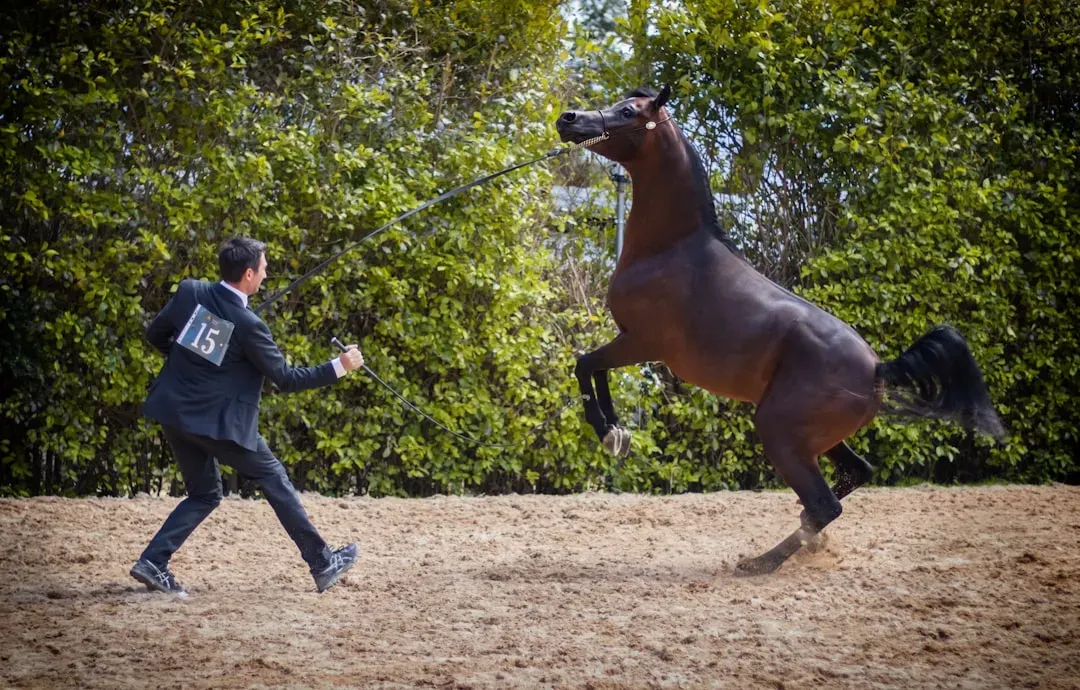 A Final Thought on Reading the Whole Horse (Image Credits: Unsplash)