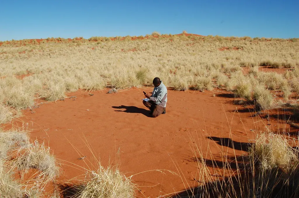 #8. Fairy Circles of the Namib Desert (jthetzel, Flickr, CC BY 2.0)