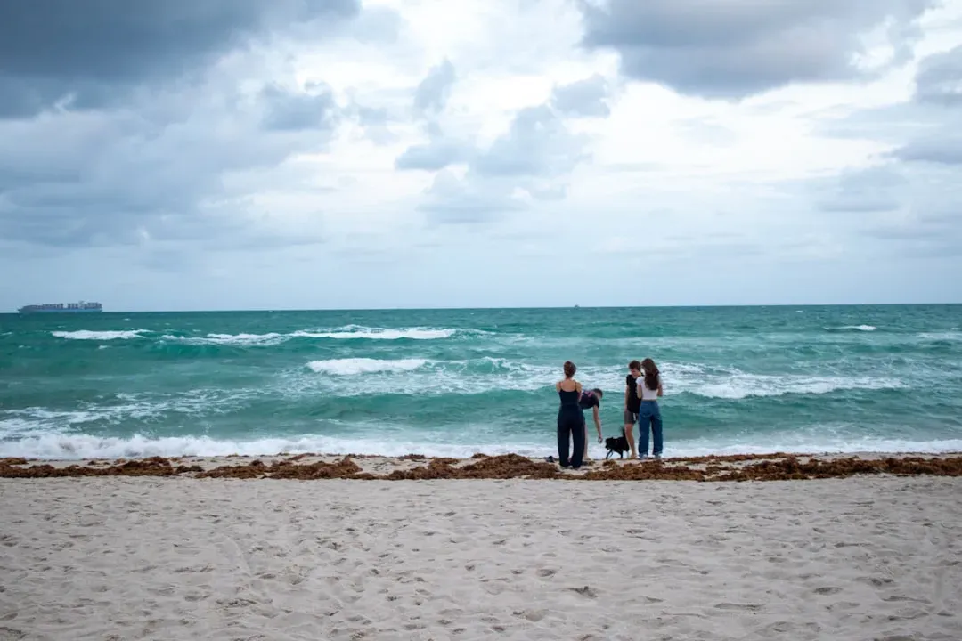Florida: Sunshine State, Cool Reception (Image Credits: Unsplash)