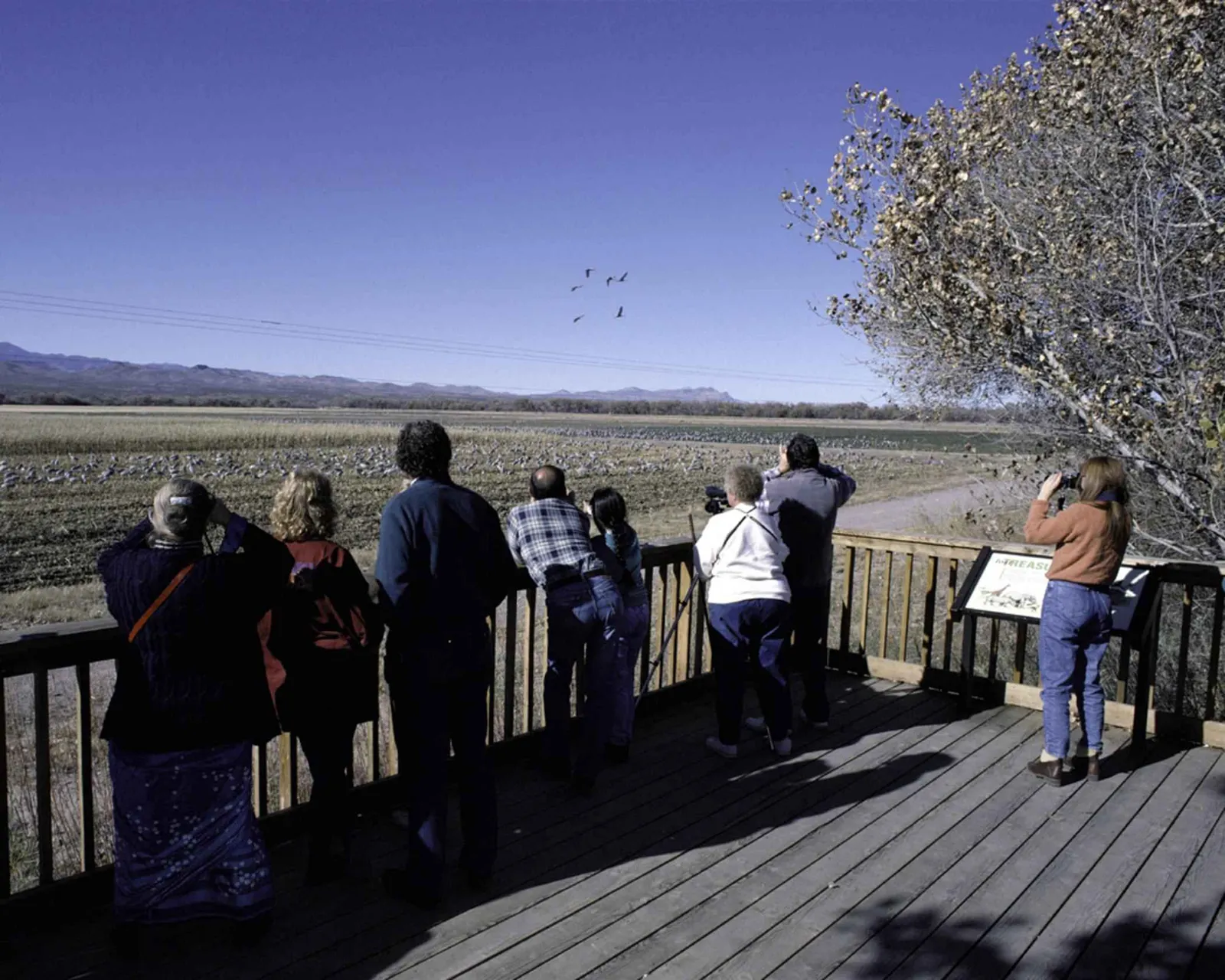 Be Patient and Persistent (By Hollingsworth John and Karen, U.S. Fish and Wildlife Service, Public domain)