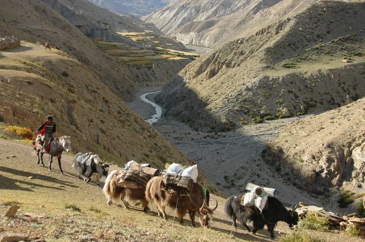 Tourism Backbone Making Treks Possible (Image Credits: Wikimedia)