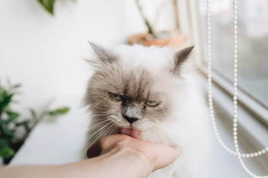 #4 - It Still Purrs&hellip; But In Quieter, Very Specific Moments (Image Credits: Pexels)