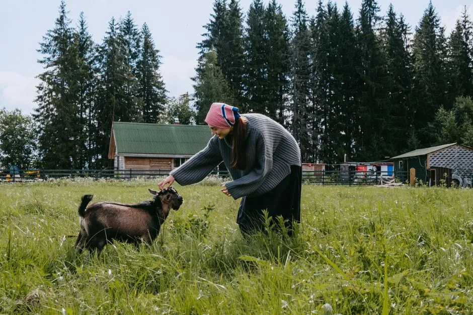 #9 - Goats That Run to Their "Best Friend" (Image Credits: Pexels)