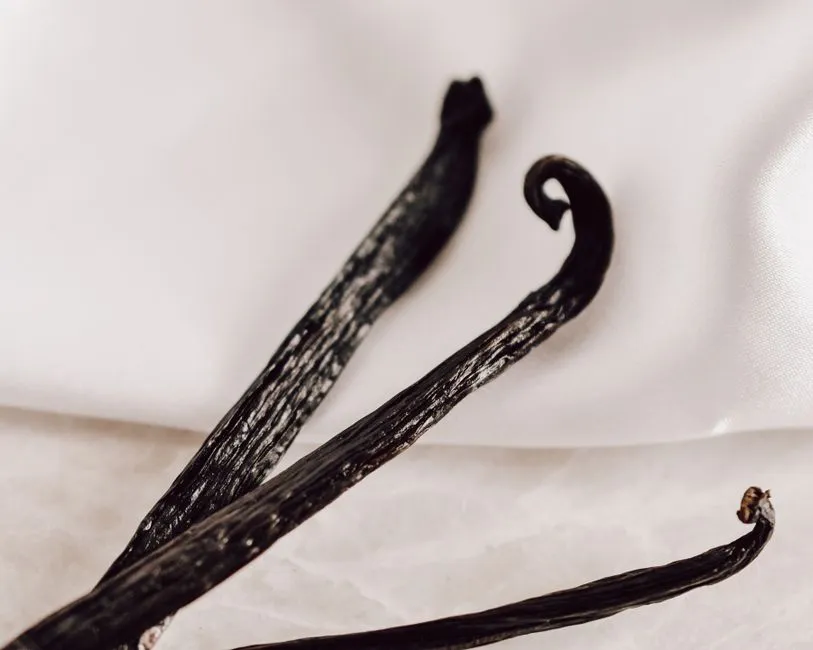 Vanilla: A Sweet Invitation (Image Credits: Pexels)
