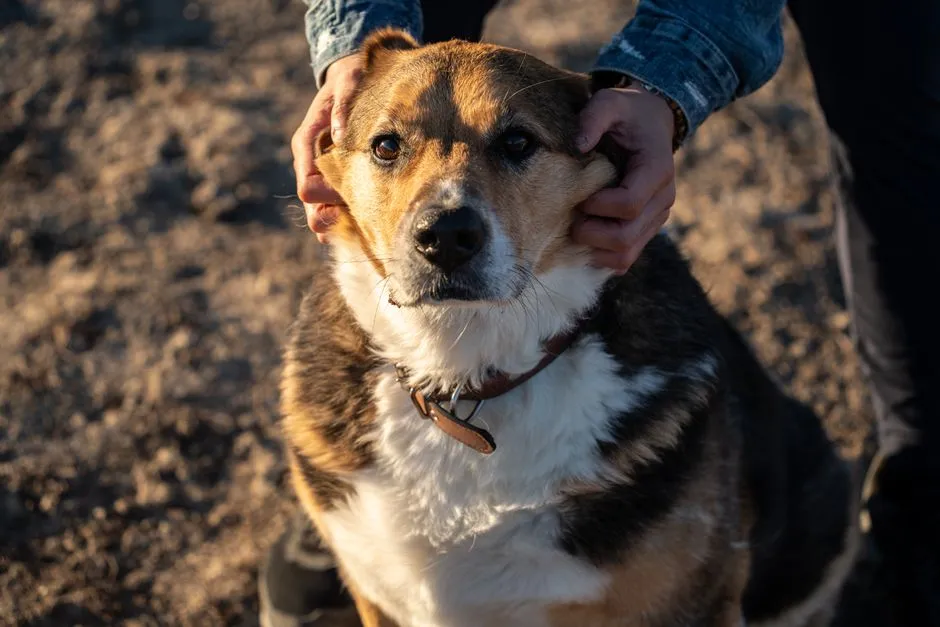 #15 - Rushing Physical Affection (Hugs, Kisses, Grabbing) (Image Credits: Pexels)