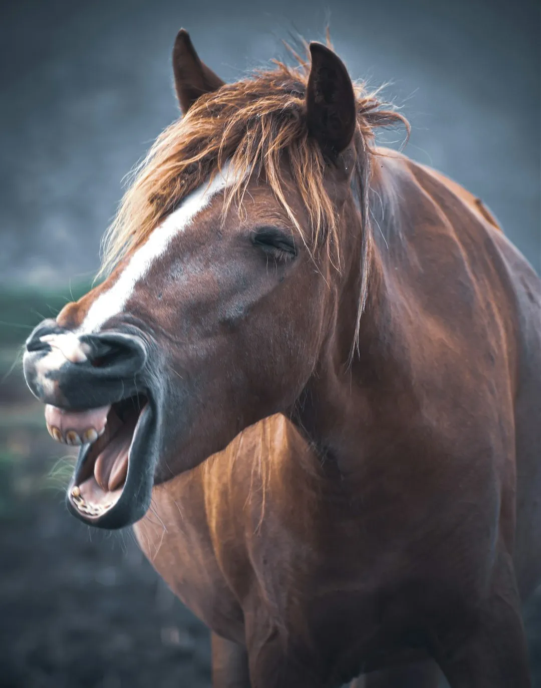 #13 - Respiratory Changes That Get Blamed On Dust (Image Credits: Unsplash)