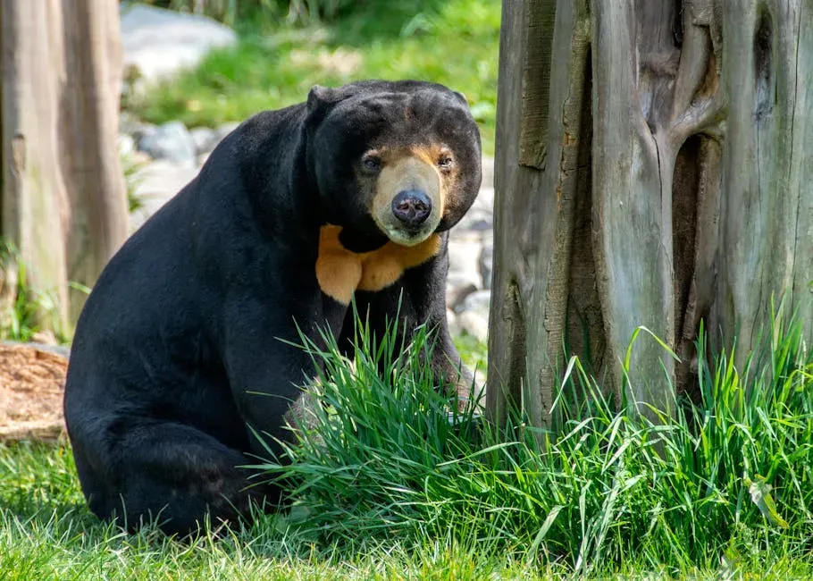 6. They Don't Hibernate (Image Credits: Pexels)
