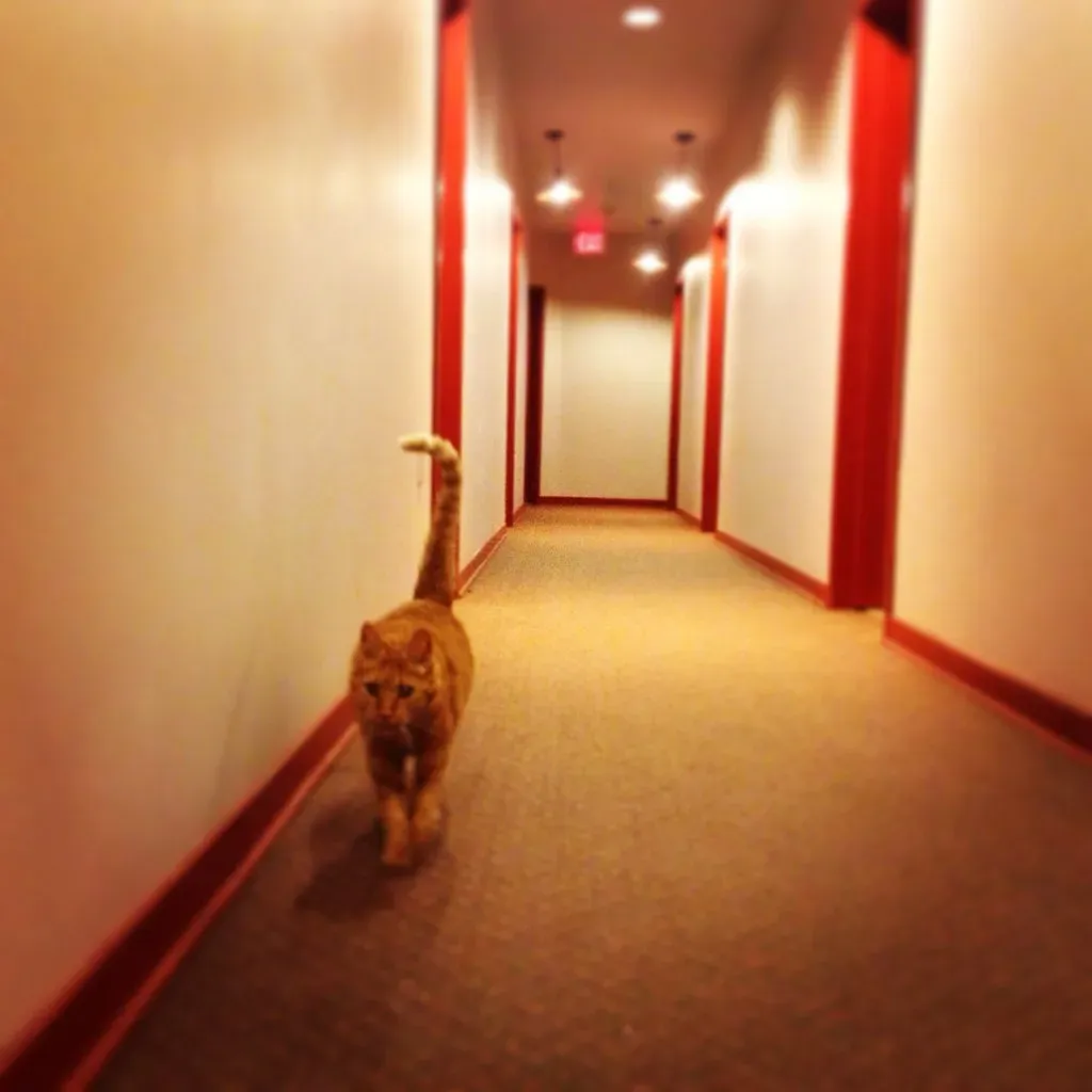 They Conduct Silent Perimeter Checks (parker yo!, Flickr, CC BY-SA 2.0)
