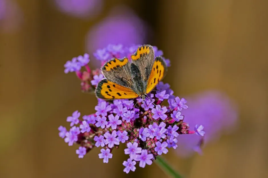 Verbena: A Butterfly Magnet in Any Garden Format (Image Credits: Pexels)