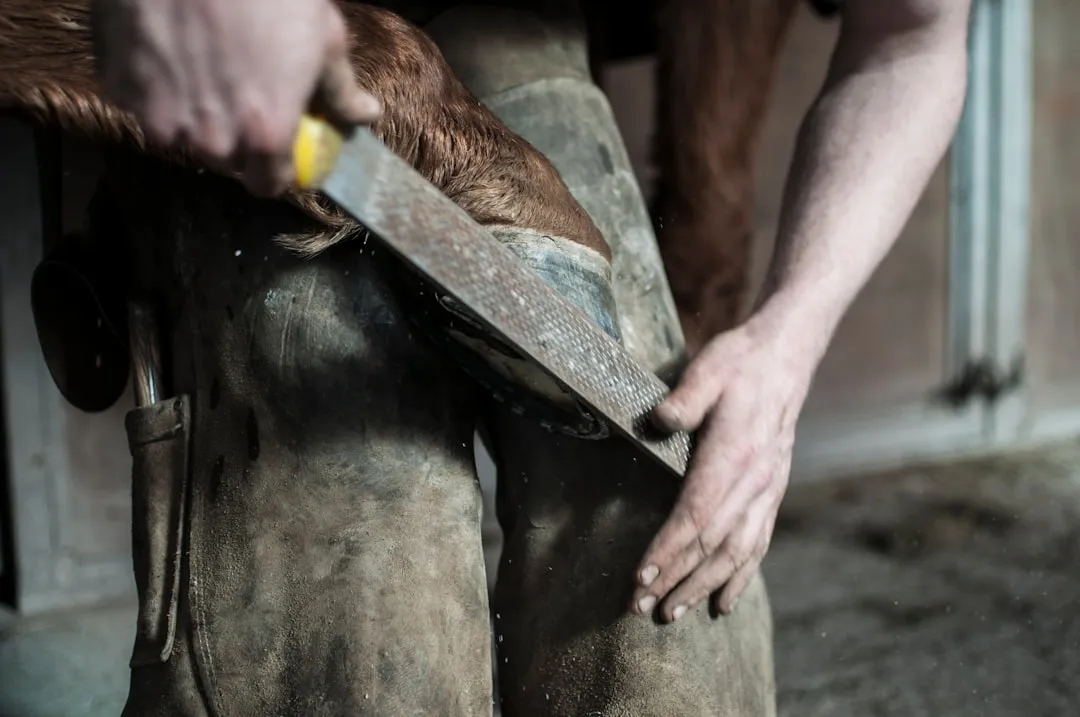 8. More Flaring And Chipping As The Hoof Wall Quality Changes (Image Credits: Unsplash)