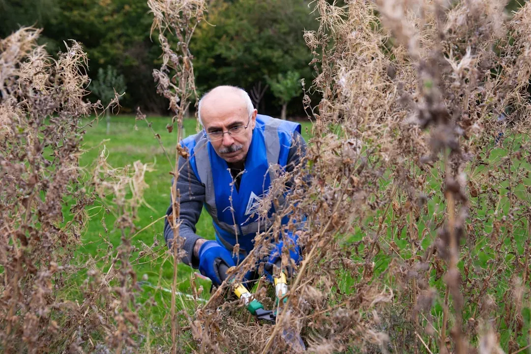 Pruning at the Wrong Time (Image Credits: Unsplash)