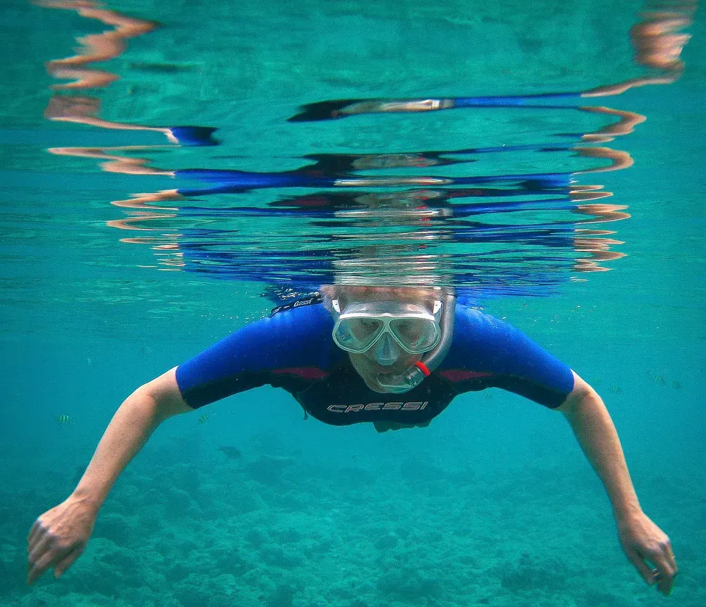 Taurus: The Comfort Loving Marine Enthusiast (Image Credits: Flickr)
