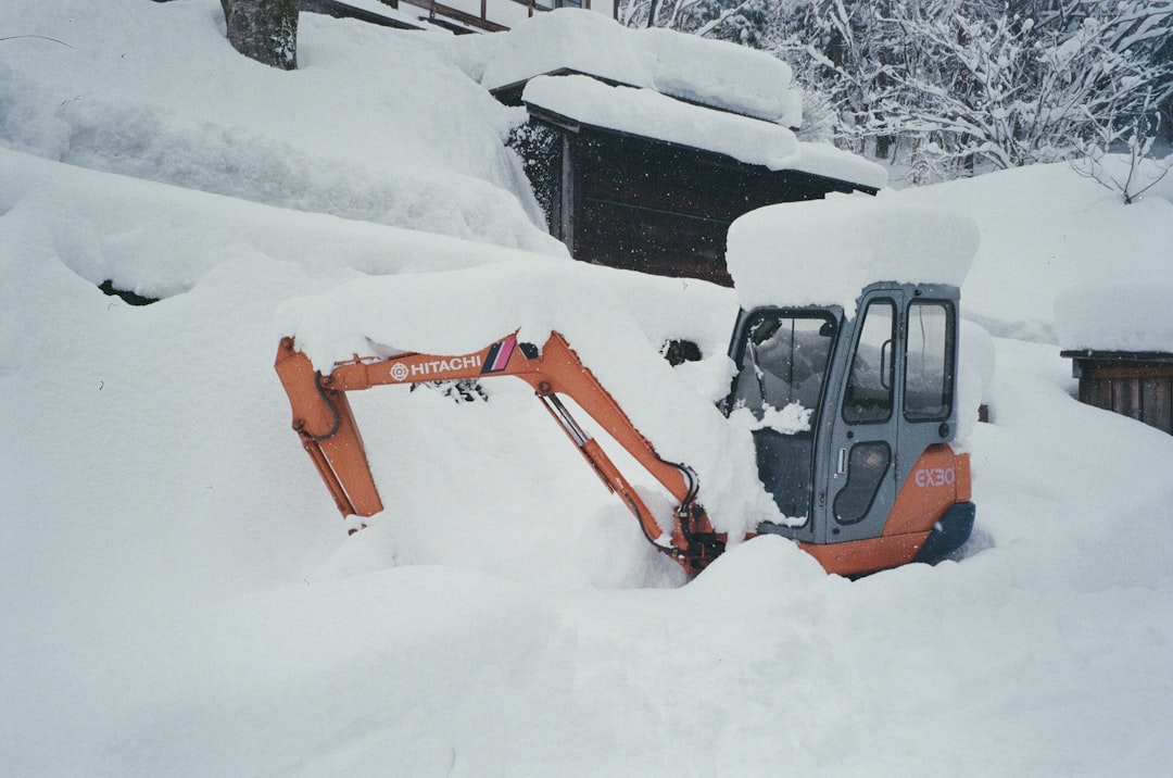 Economic Impact and Recovery Efforts (Image Credits: Unsplash)