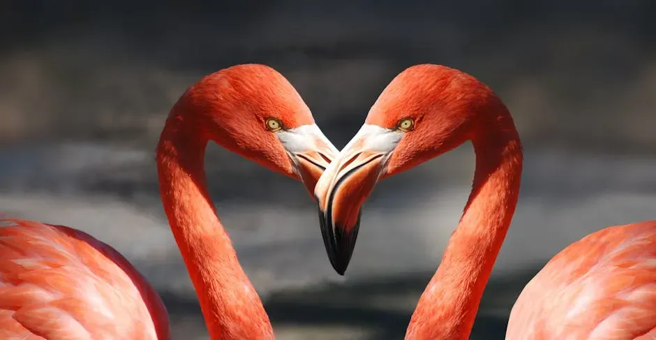 Conclusion: Evolution's Most Inventive Work (Image Credits: Pexels)