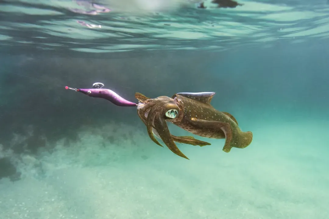 The Colossal Squid Steps Into the Light - After a Century of Hiding (Image Credits: Unsplash)