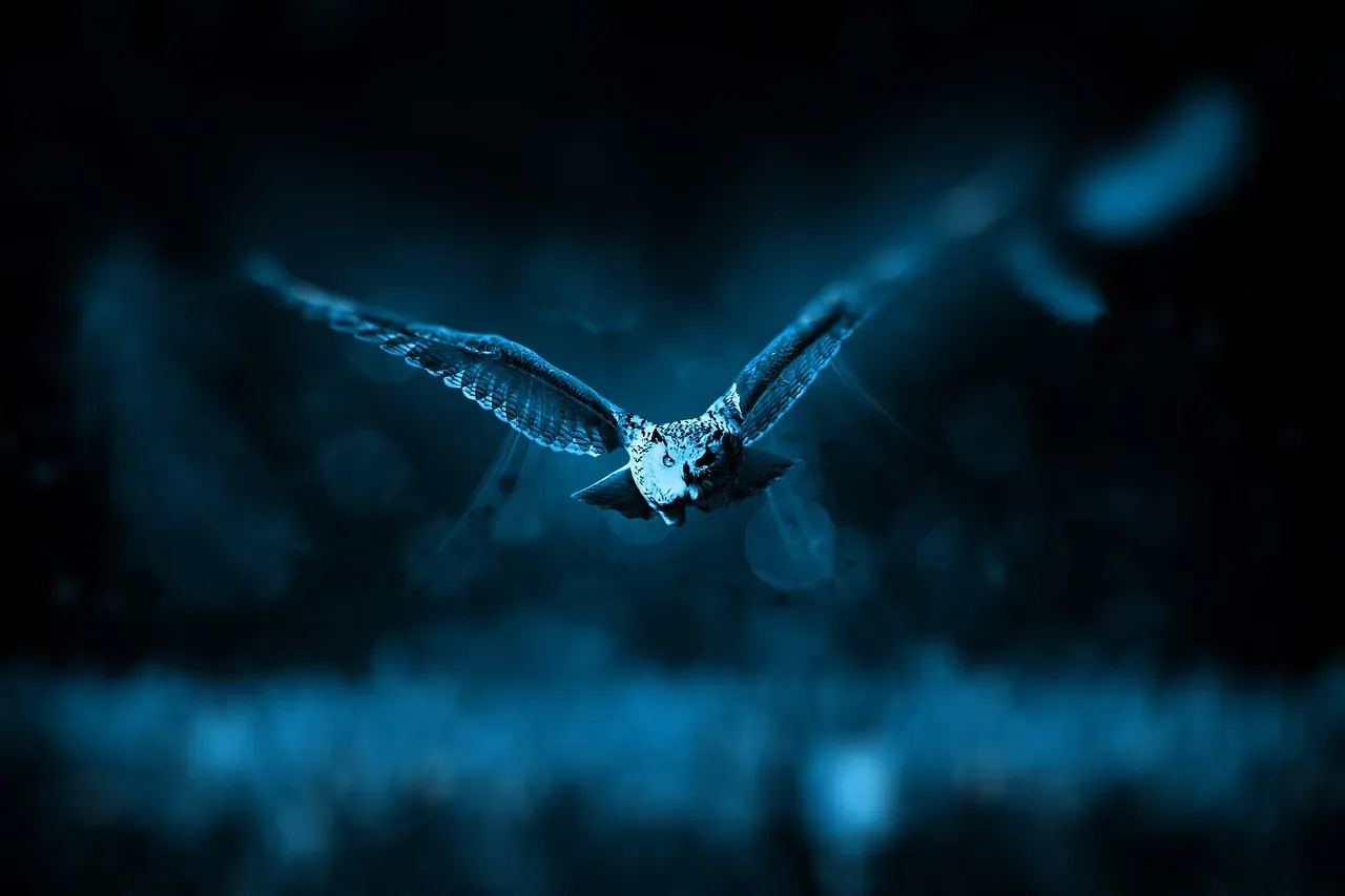 The Hidden Threats: How Light Pollution and Human Activity Are Disrupting the Night (Image Credits: Pixabay)