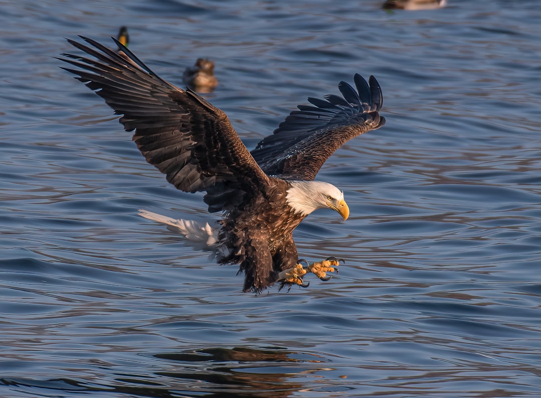 Courage and Fearless Leadership (Image Credits: Unsplash)