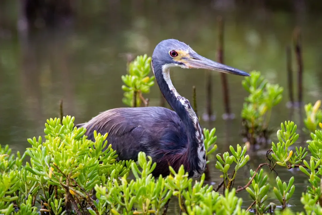 7. Portland, Oregon: A City That Plans for Wildlife (Image Credits: Unsplash)