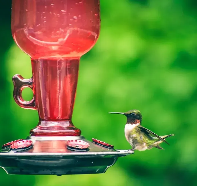 Leaving Nectar Out Too Long Without Changing It (Image Credits: Pexels)
