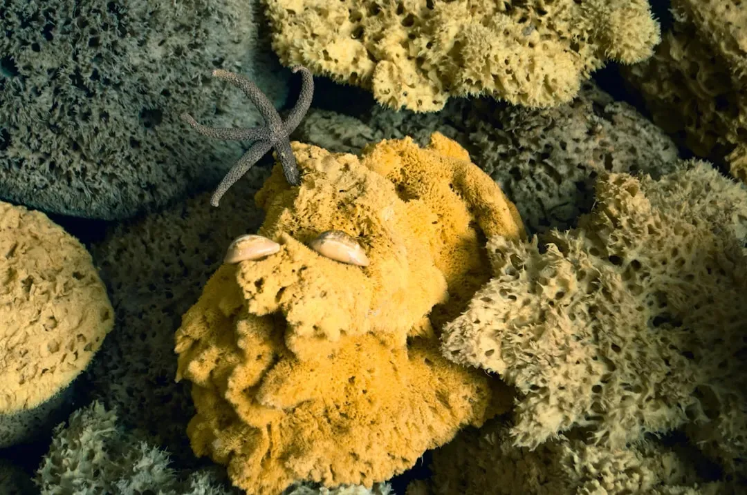 Microbial Life That Rewrites the Classification Tree (Image Credits: Unsplash)